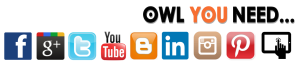 Social Media w SowiWeb - Owl You Need