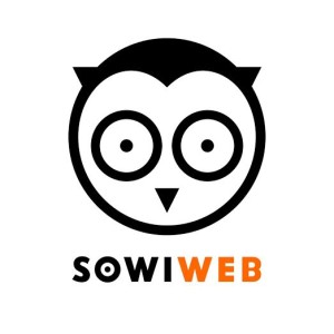 SowiWeb Multi Marketing Agency