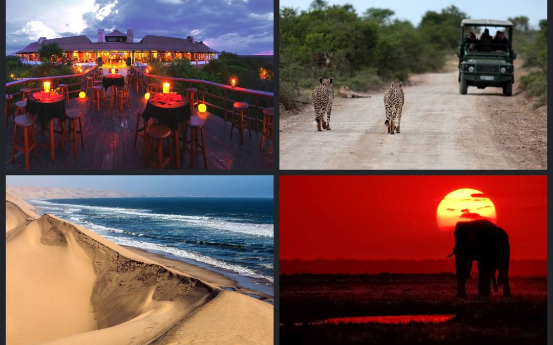 Safari holidays in Namibia 2023 with NamibStar