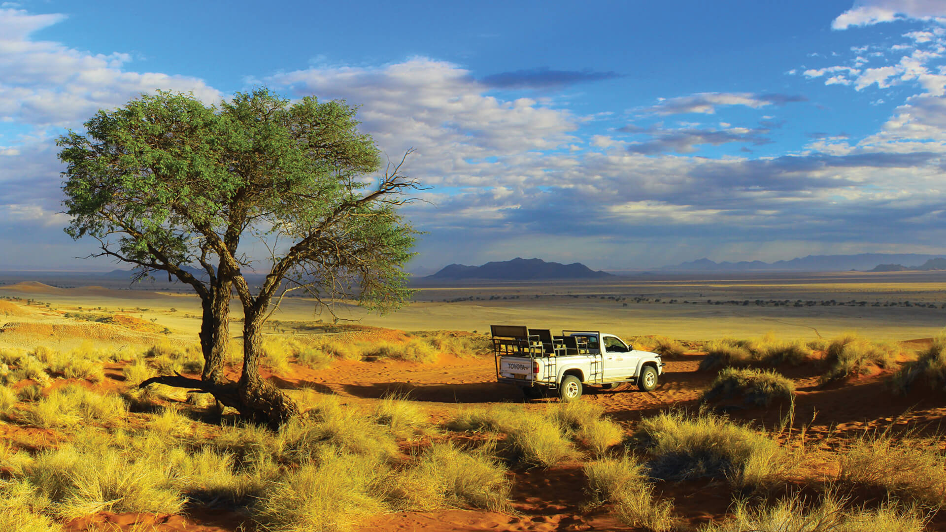 Safari holidays in Namibia with NamibStar